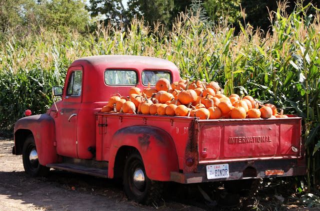 Red truck with pumpkins in it